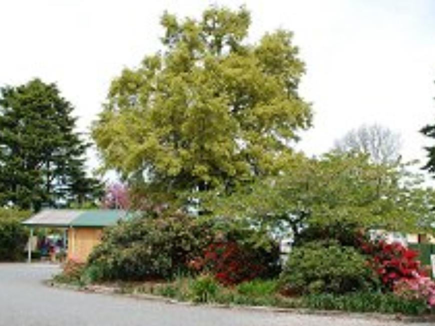 Coronation Park Motels Ashburton Buitenkant foto